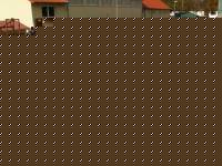 119